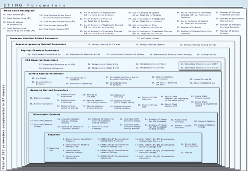 STING Parameters